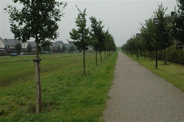 fietspad met wadi (tevens hondenuitlaatveld)